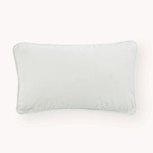 Velvet Salt Cushion